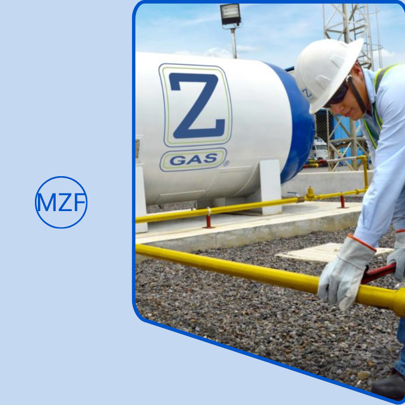 Energie für die Zukunft Miguel Zaragoza Fuentes